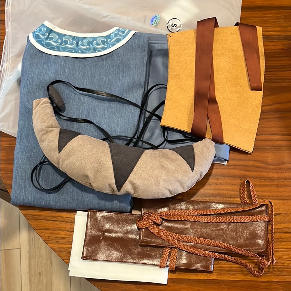 Avatar Katara Cosplay Costume Set with Accessories